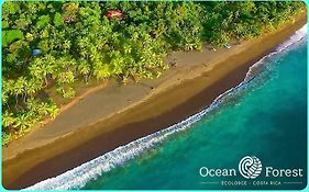 Ocean Forest Ecolodge Retreat
