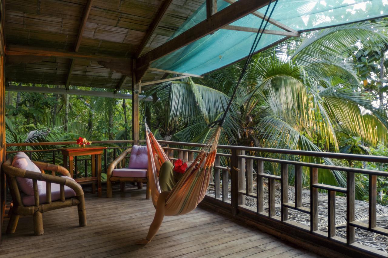 Ocean Forest Ecolodge Retreat Drake Bay Exterior photo