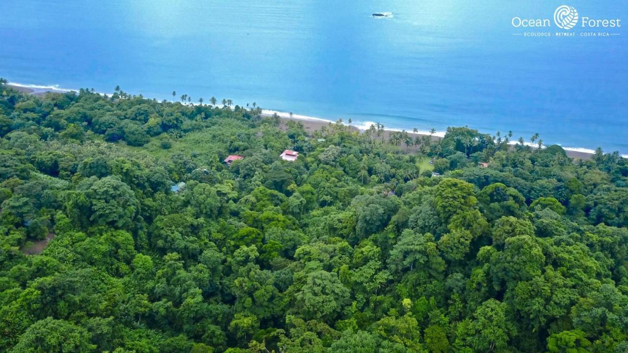 Ocean Forest Ecolodge Retreat Drake Bay Exterior photo